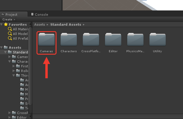Painel Project com o conteúdo de Standard Assets: as pastas Cameras, Characters, CrossPlatformInput, Editor, PhysicsMaterials e Utility. Uma moldura e uma seta vermelhas destacam a pasta Cameras