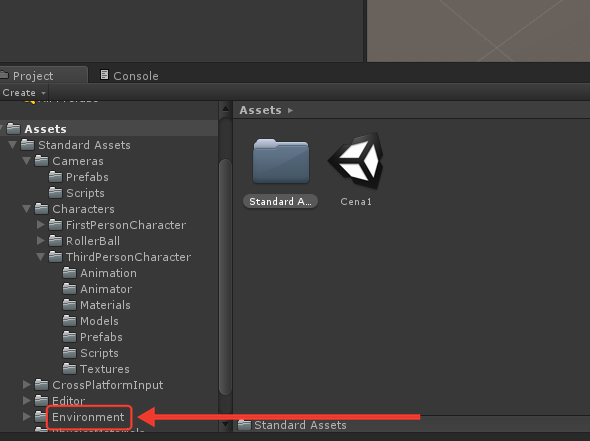 Painel Project do Unity com a pasta Assets aberta, mostrando a Standard Assets e a Cena1. Na lista de pastas da esquerda, dentro da Standard Assets, a pasta nova Environment é destacada por uma seta e uma moldura vermelha